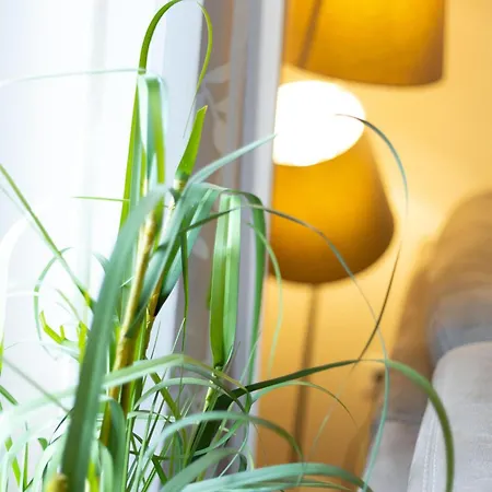 Zeit Ii * Бурхафе